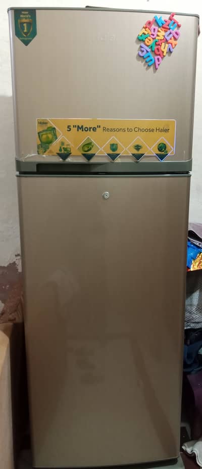Haier Fridge (Two Door) 9.5/10 Condition