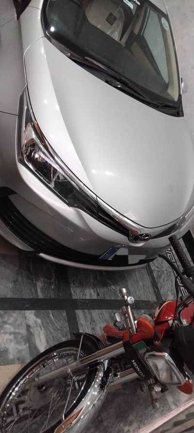 Bumper to Bumper Seal by Seal Total Genuine Toyota Gli 17/18 Model