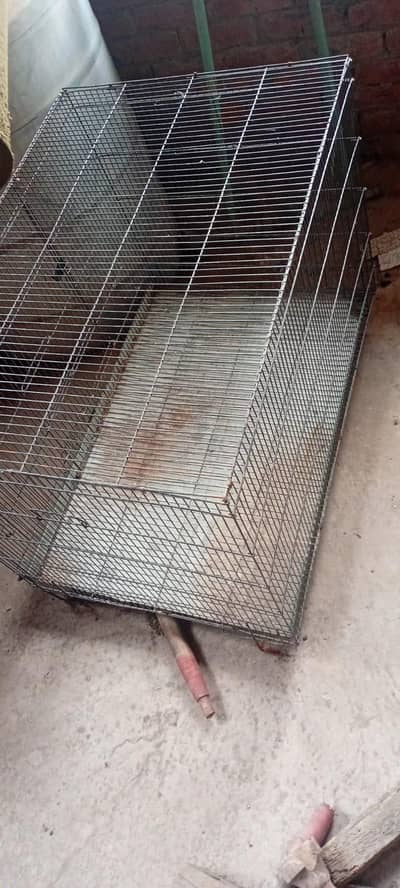 cage all