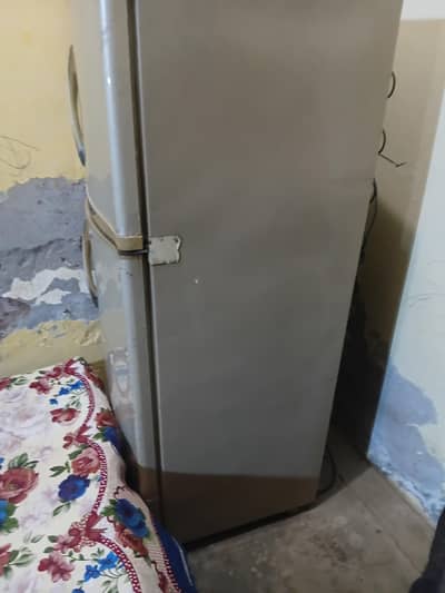medium A1 fridge