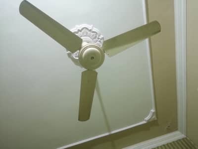 The Best shining Creamy fan