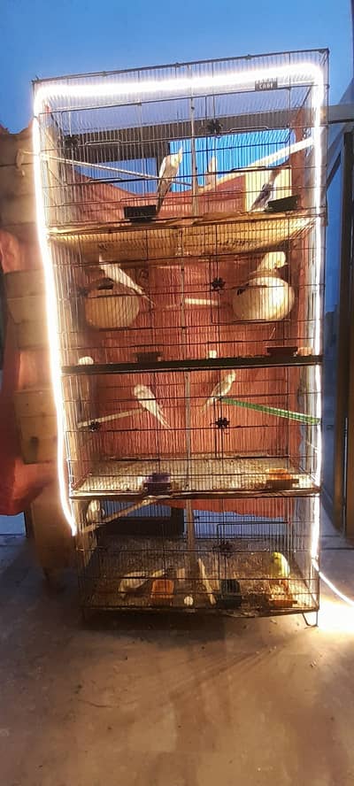 parrots folding cages for sale