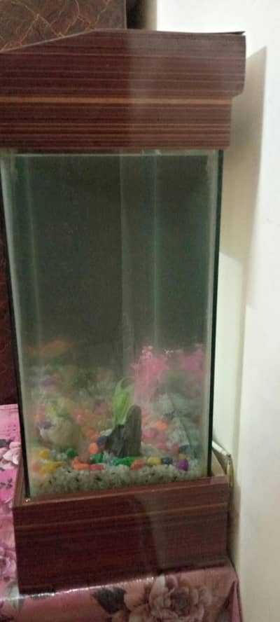 Fish Equriam