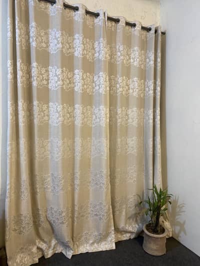 Curtains/ home decor