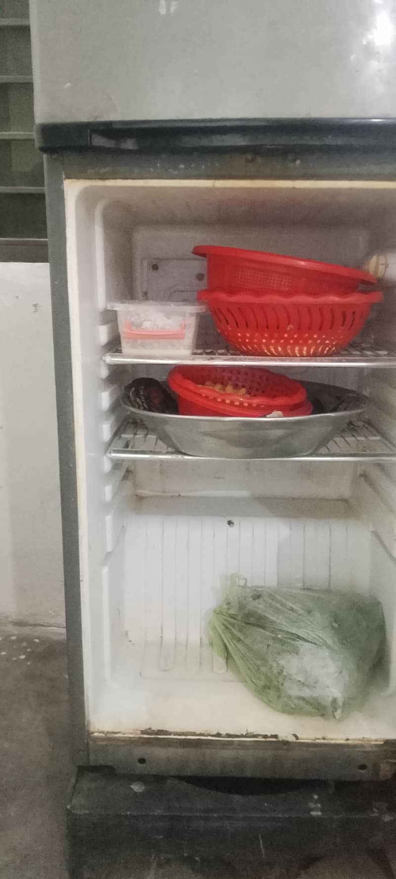 orient Medium size 2