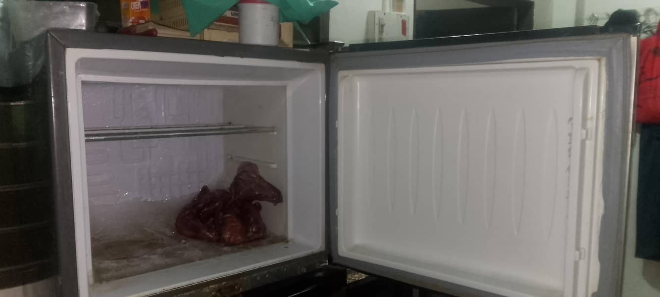 orient Medium size 3