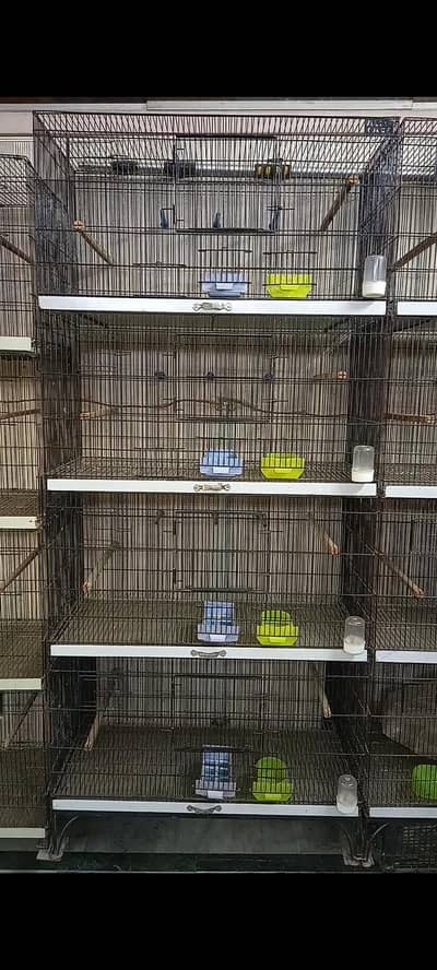 Ali Cage Brand New Fixed Tower Cage and Boxes