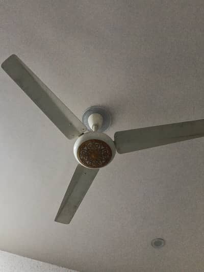 Sufi Ceiling Fan