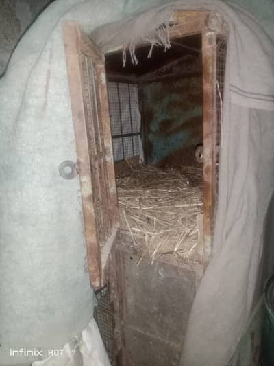 3 steps me ha back side full mazboot sheet lgi ha oper b sheet ha