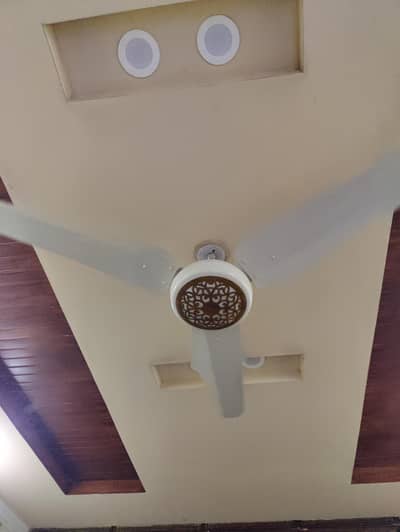 SK & Royal 2 ceiling fans 56 inches