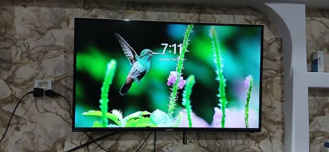 43" orient LCD
