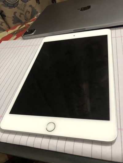 iPad mini 5