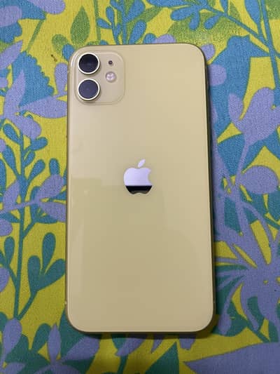 Iphone11 body