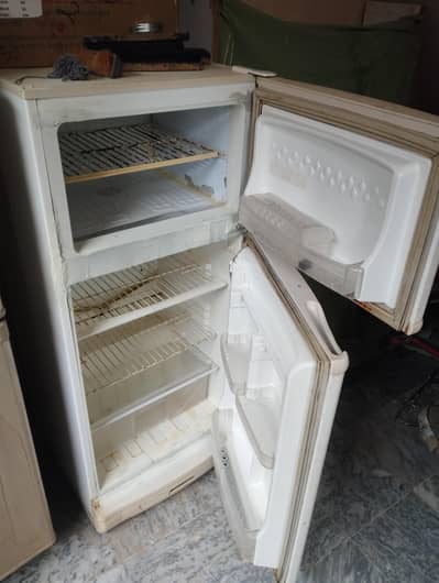 frigh for sale in Alipur Frash