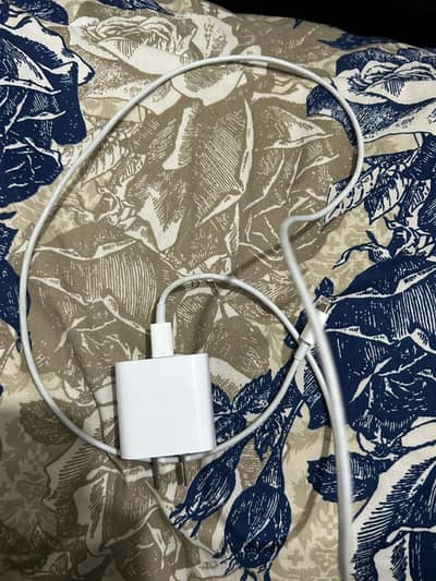 iPhone original charger