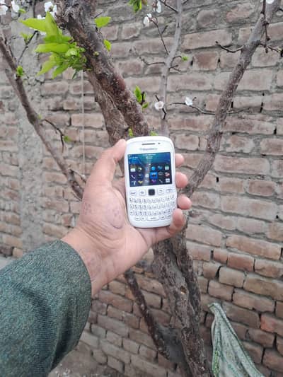 BLACKBERRY Cure HOT-SPOT VERY BEST 03157731988