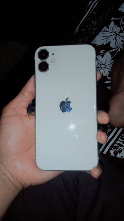 iPhone 11 10 by 10 water pack