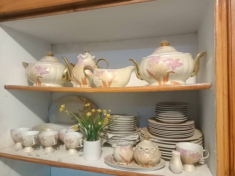 Imported Dinner Set 1