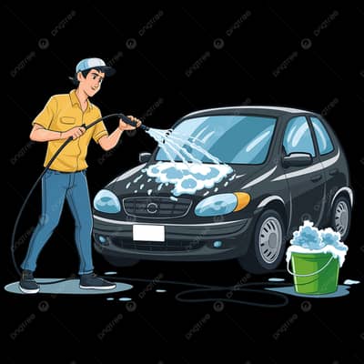 Need Expert car washer person