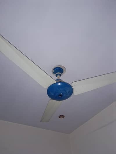 Royal Ceiling Electric Conventional Fan