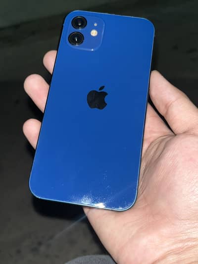 iPhone 12 (Blue)