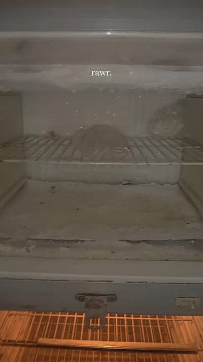 fridge for sale