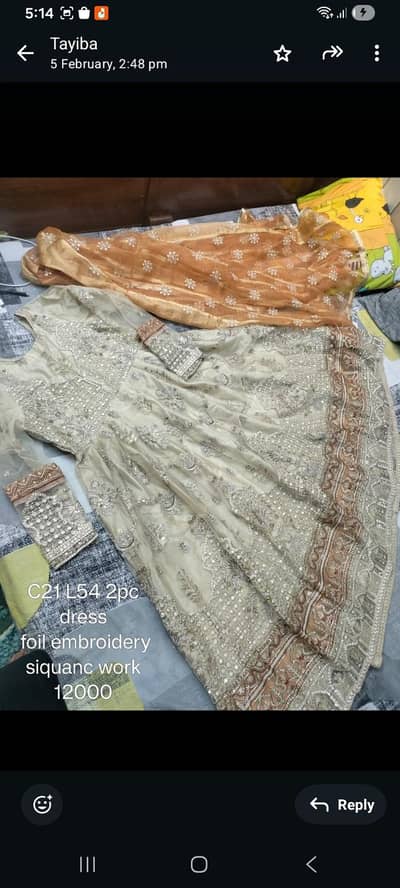 pakistani Wedding wear dresses