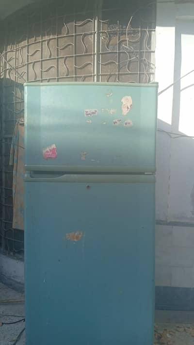 pel fridge for sell