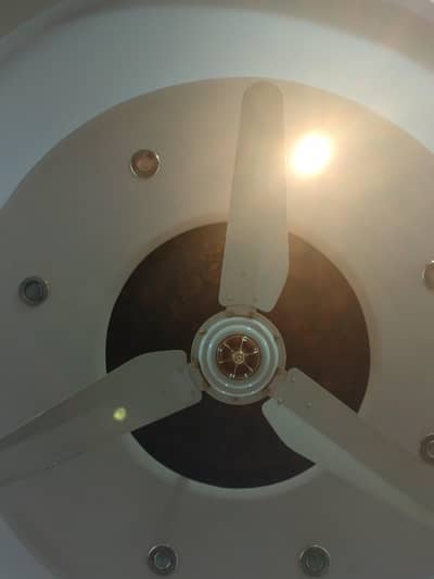 aik fan pak fan ka or doosra Royal fan ka hy