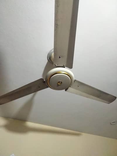 3 se 4 fane sale karne h