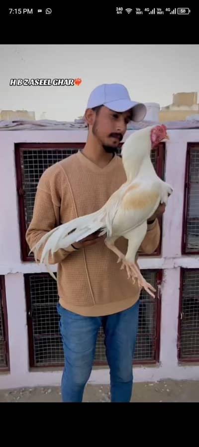 location North Karachi