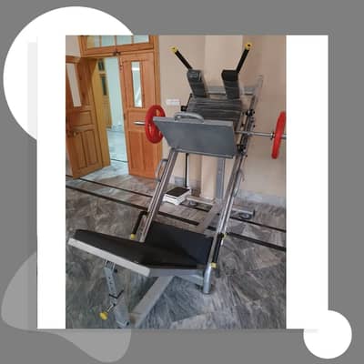 Leg Press and Hauk Squat