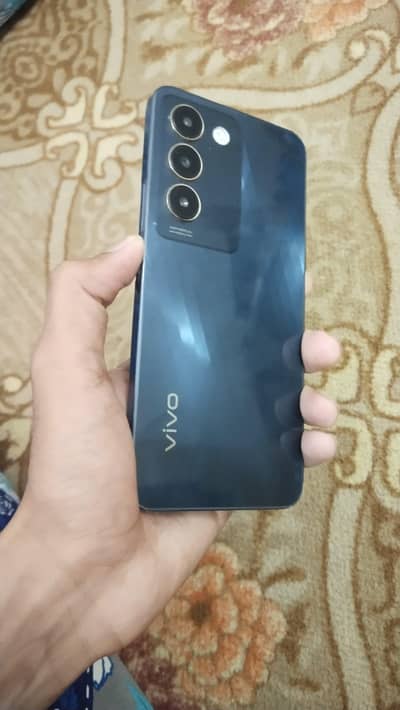 vi vo y 100 full packing 10by10