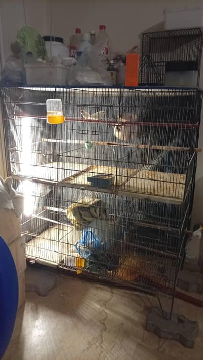 birds cage 6 portion