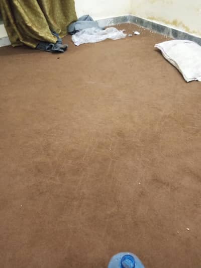Brown Room Carpet (Clean and Good Condition)