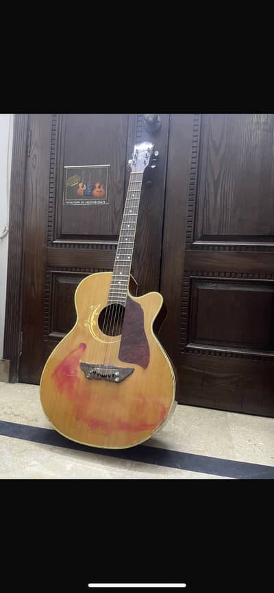 professional woden guitar