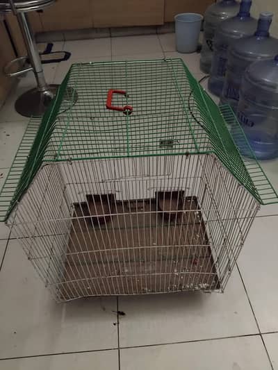parroted cage