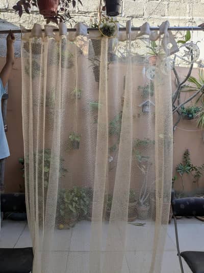 net curtains
