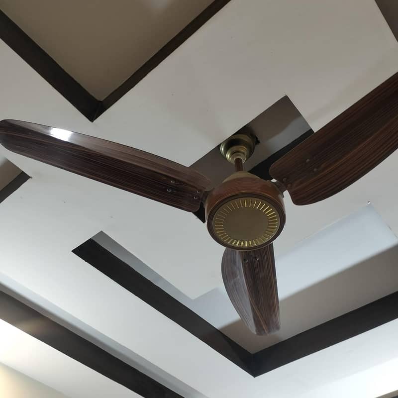 ceiling fan 1