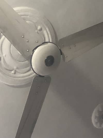 Apex ceiling fan 48 inches