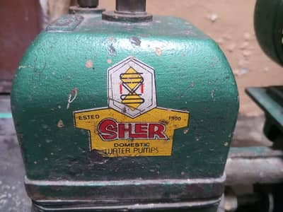 domestic  water pump