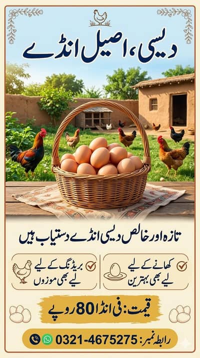 Desi Eggs