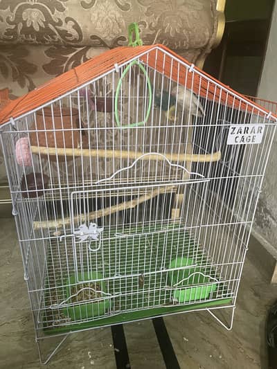 Love birds breader pair with cage
