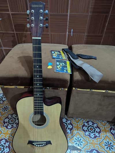 professional acoustic guitar