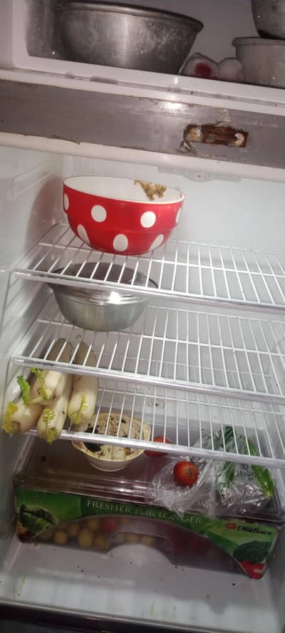 DAWLANCE  SIZE. MEDIUM