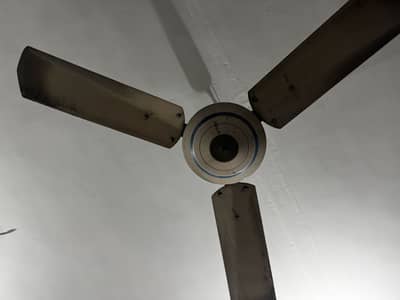 Old ceilling fan on cheap price