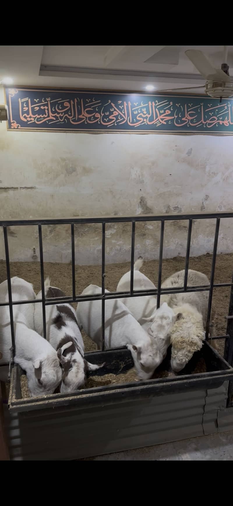 اسلام علیکم مجھے ایک ملازم کی ضرورت ہے 2