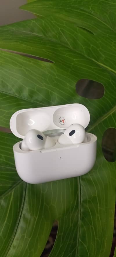 Pro 2 Earbuds Heavey Sound