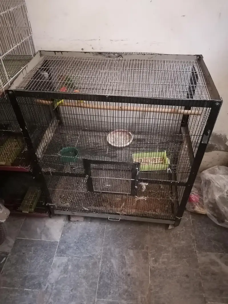 for sale with cage sale kerny ha — photo 2