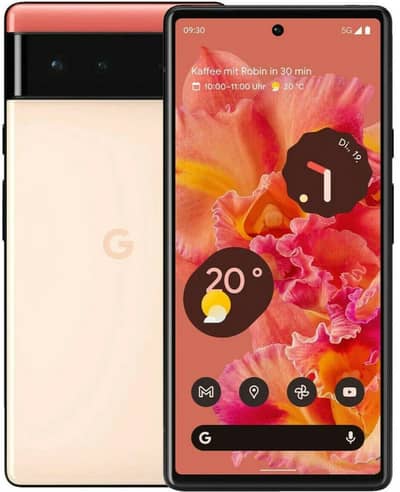 Google pixal 6 pta approved